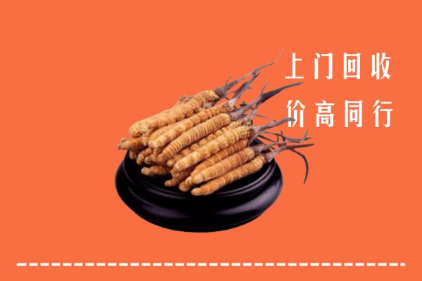 临桂区回收散虫草