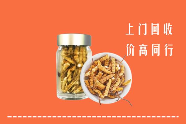临桂区回收冬虫夏草