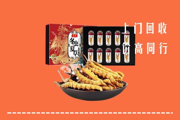 临桂区回收虫草